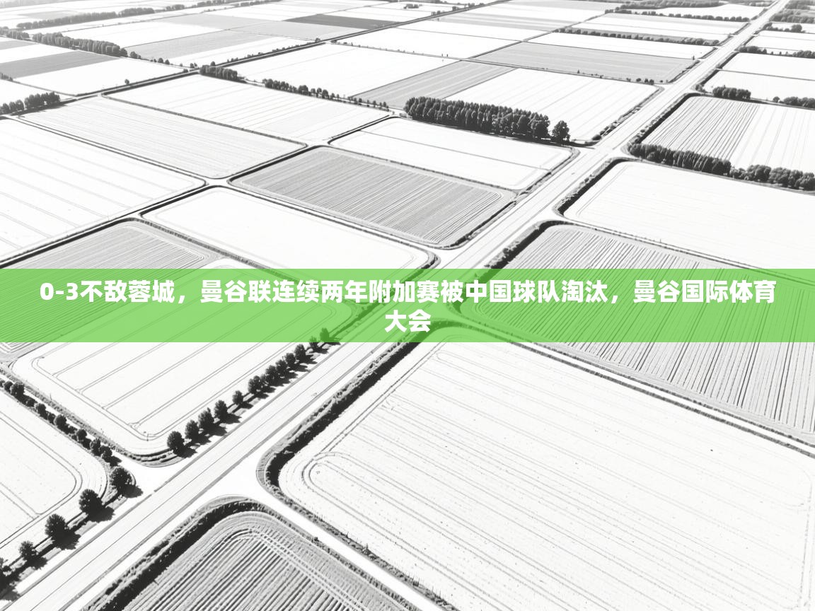 爱游戏厅下载-0-3不敌蓉城,曼谷联连续两年附加赛被中国球队淘汰,曼谷国际体育大会 第2张