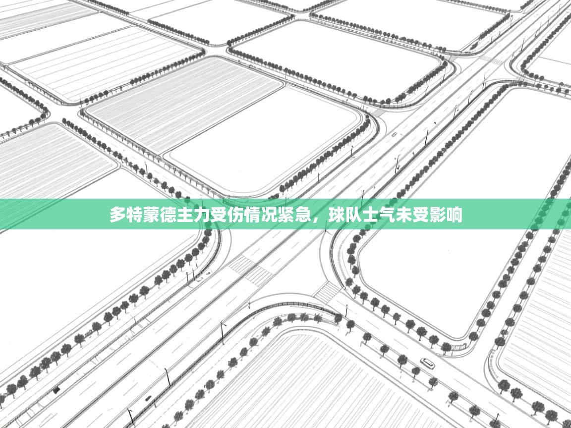 爱游戏真人体育娱乐-多特蒙德主力受伤情况紧急，球队士气未受影响  第1张