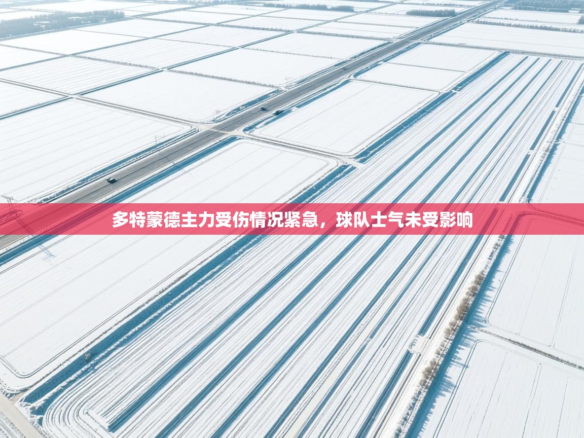 爱游戏真人体育娱乐-多特蒙德主力受伤情况紧急，球队士气未受影响  第2张