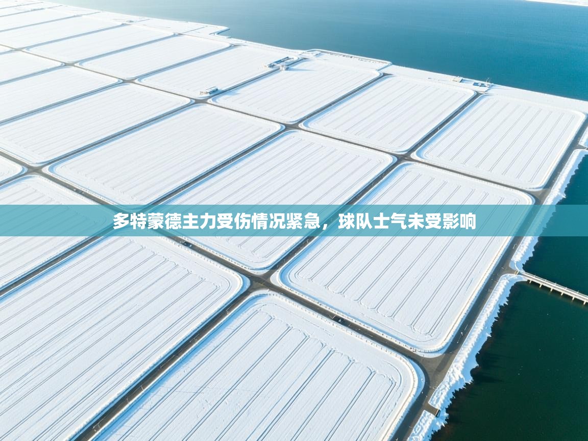 爱游戏真人体育娱乐-多特蒙德主力受伤情况紧急，球队士气未受影响  第3张