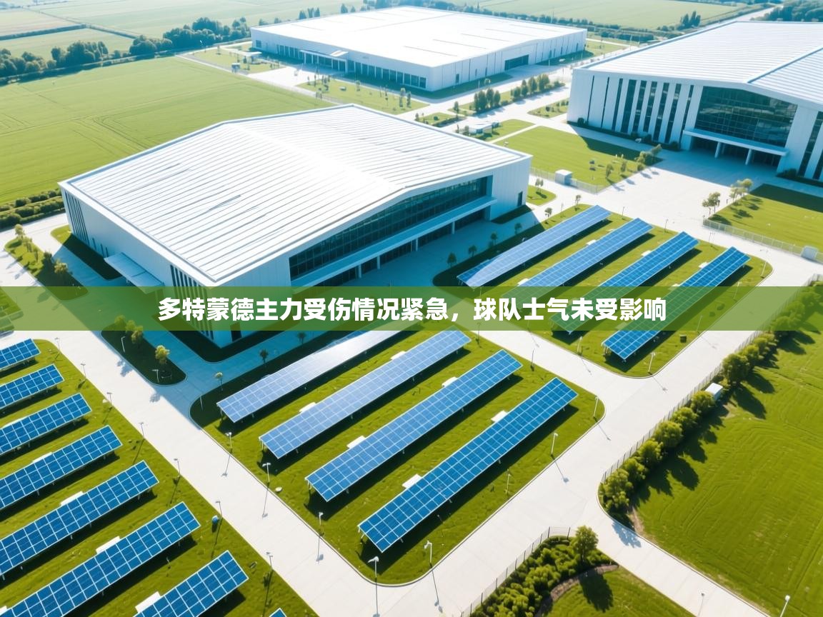 爱游戏真人体育娱乐-多特蒙德主力受伤情况紧急，球队士气未受影响  第4张