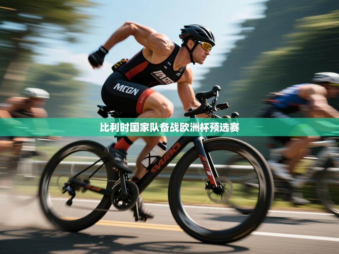 爱游戏体育娱乐马竞赞助商-比利时国家队备战欧洲杯预选赛  第2张