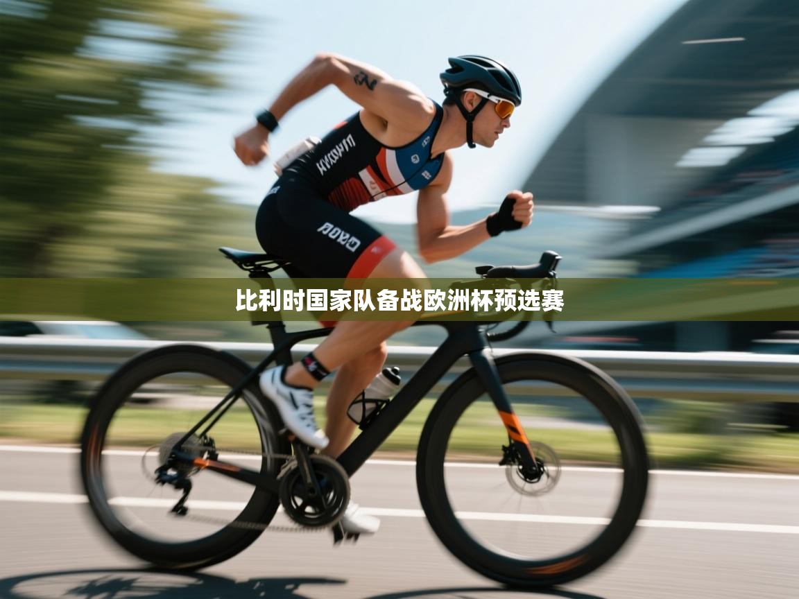 爱游戏体育娱乐马竞赞助商-比利时国家队备战欧洲杯预选赛  第4张