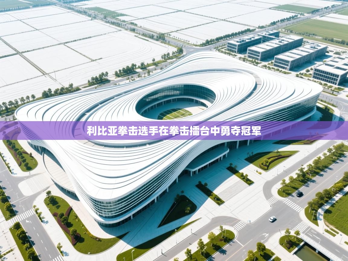 爱游戏体育在线app-利比亚拳击选手在拳击擂台中勇夺冠军  第2张