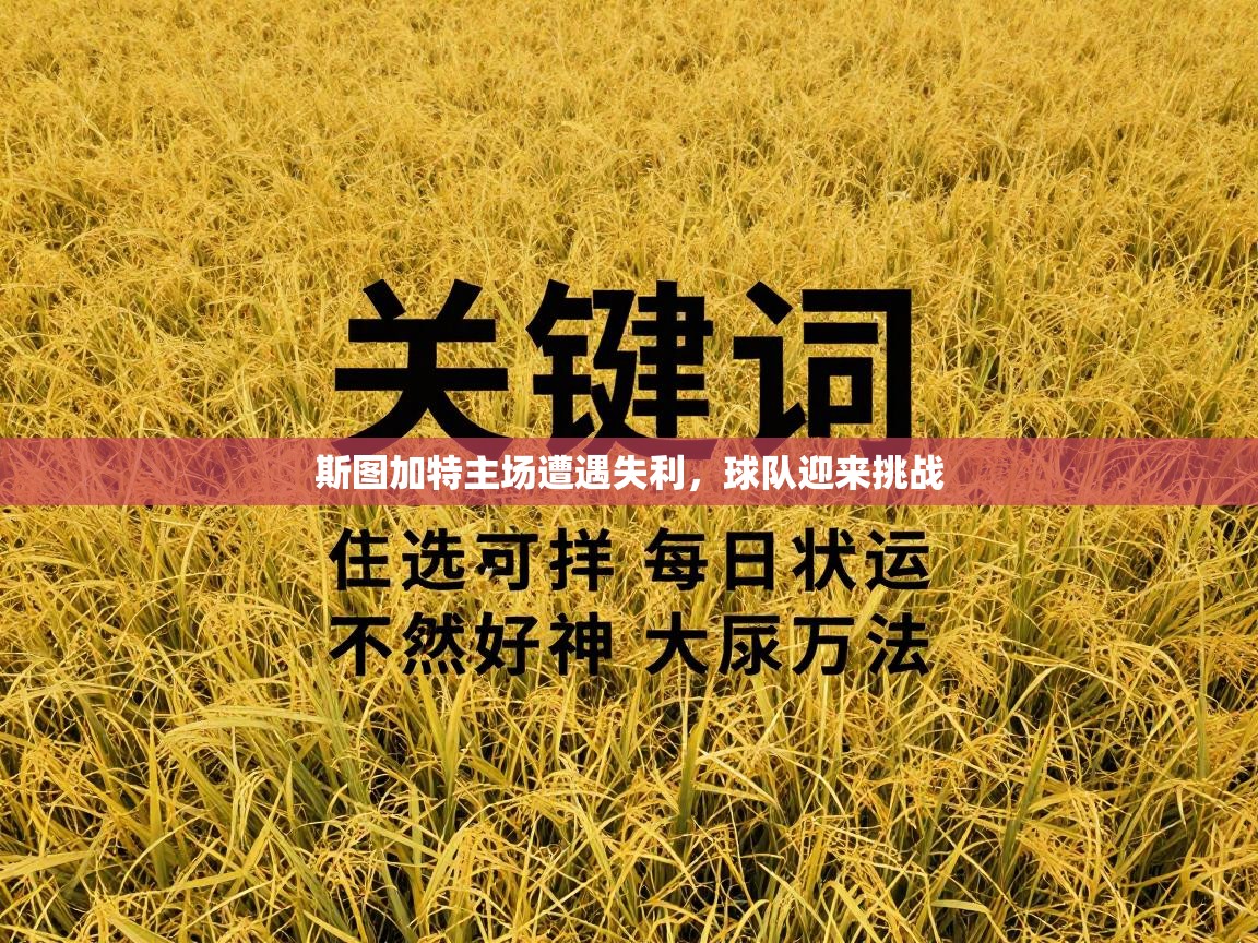 爱游戏体育app-斯图加特主场遭遇失利，球队迎来挑战  第1张