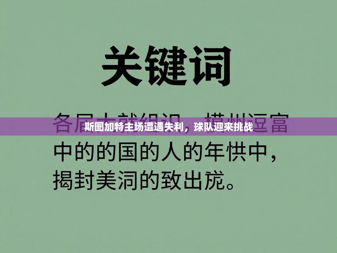 爱游戏体育app-斯图加特主场遭遇失利，球队迎来挑战  第2张