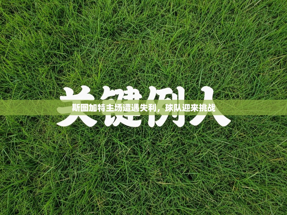 爱游戏体育app-斯图加特主场遭遇失利，球队迎来挑战  第3张